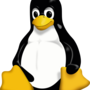 tux.svg.png
